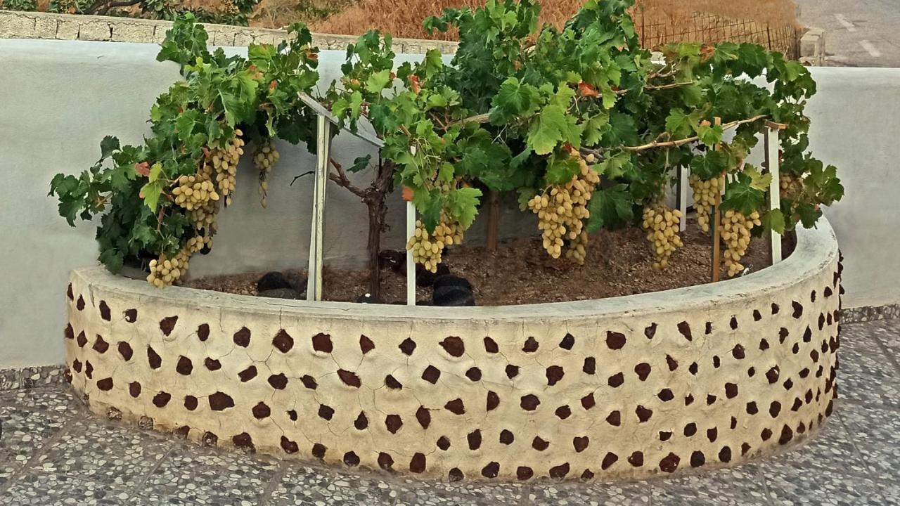 Skarmoutsos Holiday Home Vourvoulos ภายนอก รูปภาพ
